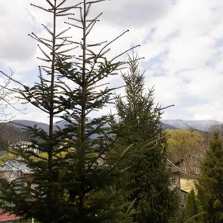 Hotel Karpaty Panorama & Yaremche